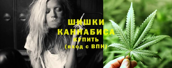 PSILOCYBIN Волосово
