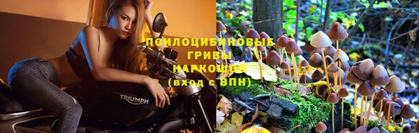 ECSTASY Володарск