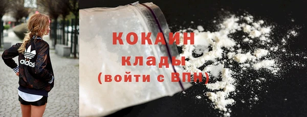 PSILOCYBIN Волосово