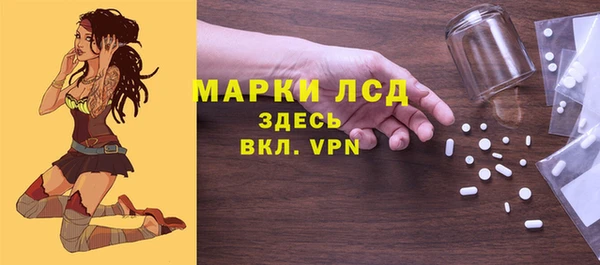 PSILOCYBIN Волосово