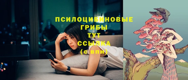 PSILOCYBIN Волосово