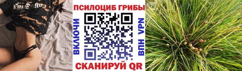 Псилоцибиновые грибы мицелий  Купить где  Лысково 